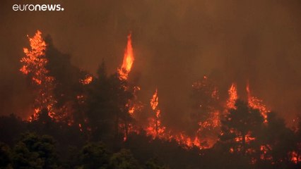 Feuer in Griechenland: 14-Jähriger wegen Brandstiftung festgenommen
