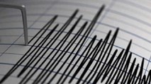 J&K: Earthquake tremors of 3.6 magnitude felt in Katra