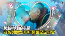 跨越物種的友情 老翁與醜魚30年情誼堅定不變