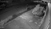 Câmeras de segurança flagram momento que mulher abandona cãozinho na Rua Aristóteles no Bairro Tarumã