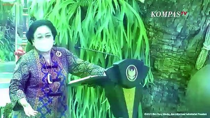 Reaksi Jokowi Ketika Megawati Cerita Menangis Bela Dirinya