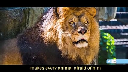 शेर क्यों है जंगल का राजा ! Mr. Sonu Sharma Best Motivational Video