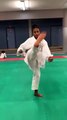 Marie Laure  exécutant Mawashi geri  Tsuki  (2ème séance seulement)