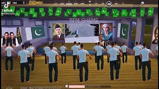 Emote celebrating Pakistan's independence day