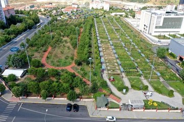 Şehrin ortasında organik tarım