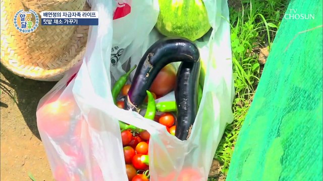 당뇨 판정 받았던 그녀의 관리 비법! 특별 레시피 大공개★ TV CHOSUN 20210819 방송