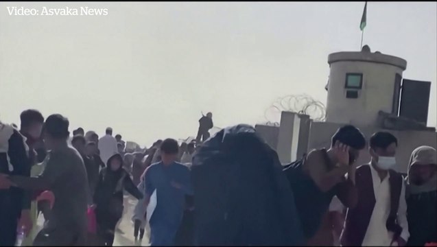 Crowds flee as Taliban fire shots at Kabul airport as thousands continue attempt to leave country