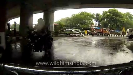 Main public tansport of Delhi_ DTC (Delhi Transport Corporation)