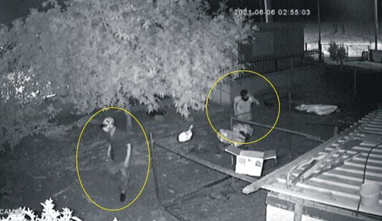 HIRSIZLIK ŞÜPHELİSİ, KAMERAYI FARK EDİNCE ELİYLE YÜZÜNÜ KAPATMAYA ÇALIŞMIŞ