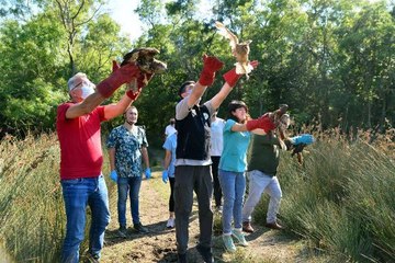 TEDAVİLERİ TAMAMLANAN LEYLEK, ŞAHİN VE GÜVERCİNLER DOĞAYA SALINDI