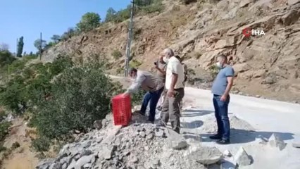 Elazığ'da 850 keklik doğaya salındı