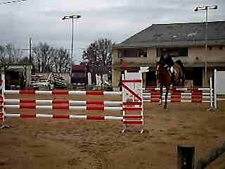 princelio vacquiers 29-01 1m10