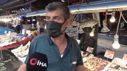 Çingene palamudu balıkçıları üzdü