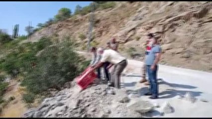850 keklik doğaya salındı