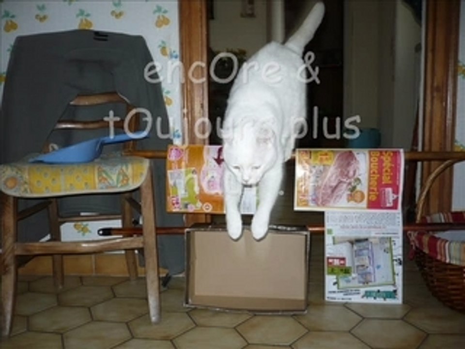 Ma lOuu