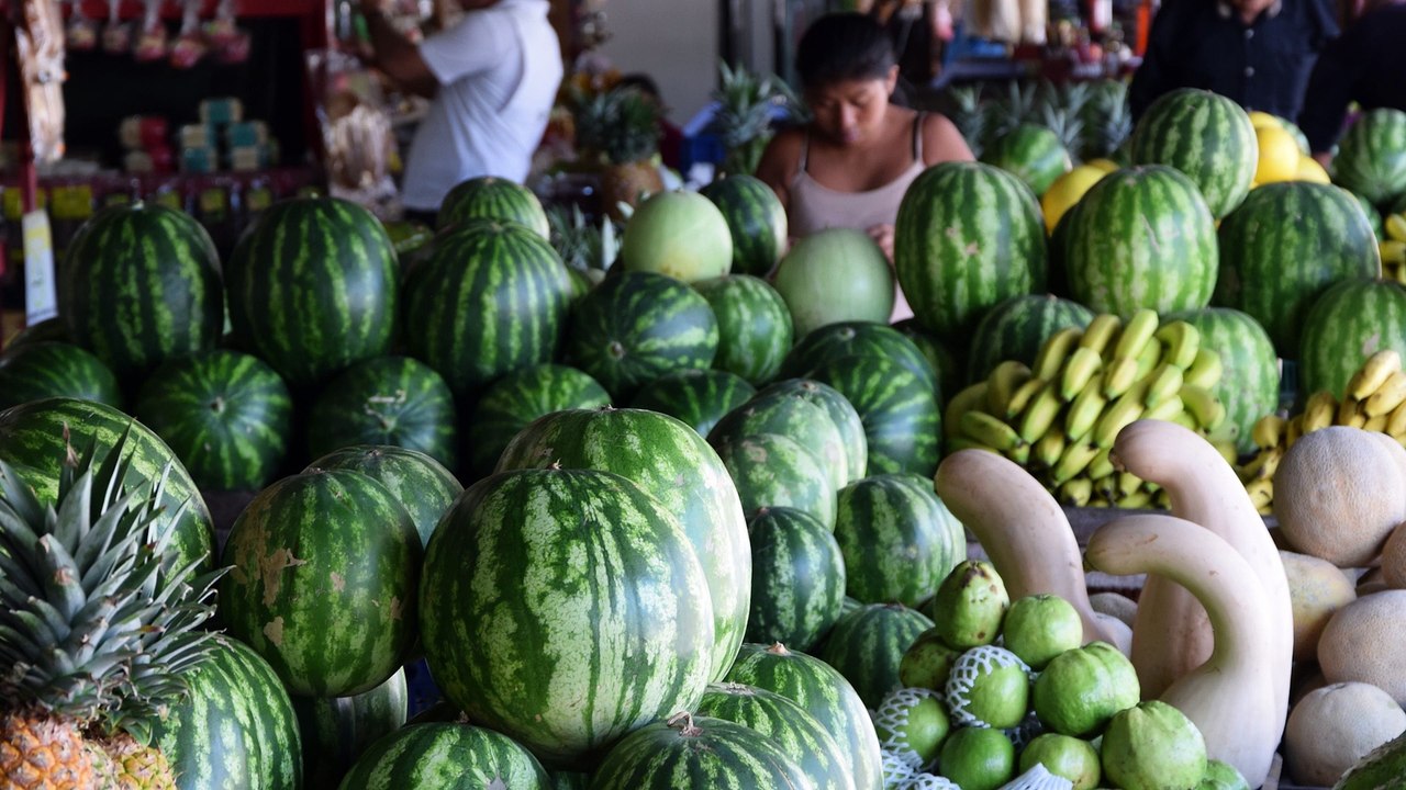 Costa rica kulinarisch entdecken