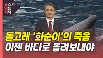 [뉴있저] 돌고래 '화순이'의 죽음...이젠 바다로 돌려보내야 / YTN