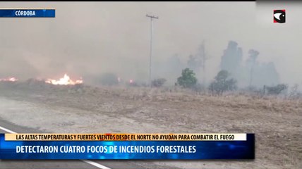 Detectaron cuatro focos de incendios Forestales