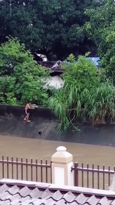 Dog Rescued From Swollen River