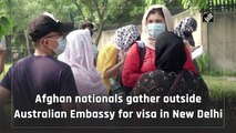 Afghan nationals gather outside Australian Embassy for visa in New Delhi