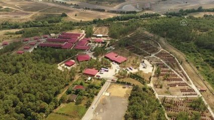 (DRONE) İBB'ye ait bakımevinde ölü hayvanların gömülmeden bekletilmesine tepkiler sürüyor