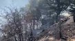 Campello sul Clitunno (PG) - Incendio boschivo vicino al centro abitato (19.08.21)