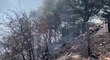 Campello sul Clitunno (PG) - Incendio boschivo vicino al centro abitato (19.08.21)