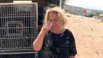 Yaralı halde bulunan Mısır Akbabası 4 aylık tedavisinin ardından doğaya salındı