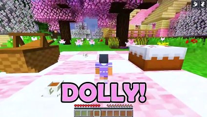 The BIRTH To DEATH of a DOLL in Minecraft!