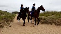 Patrouille de gendarmerie à cheval sur la plage de Kerhilio à Erdeven (56)