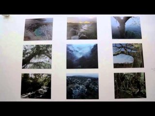 معرض Majority World