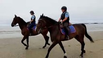 Patrouille de gendarmes à cheval sur la plage de Kerhilio à Erdeven (56)