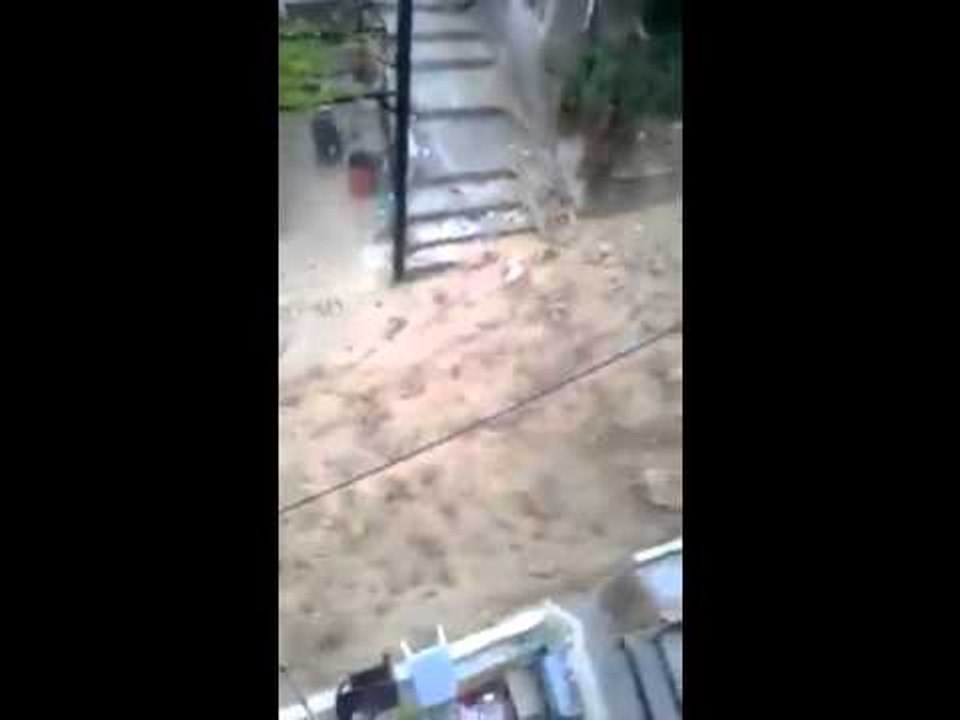 امطار في اربد