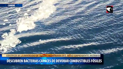 Descubren Bacterias capaces de devorar combustibles fósiles