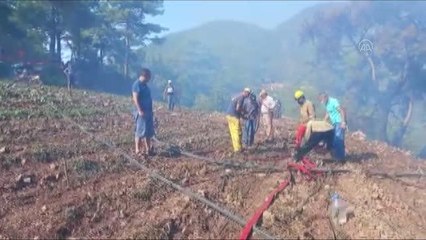 Kumluca'da ormanlık alan ve tarım arazilerinde çıkan yangın söndürüldü
