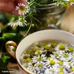 Cómo hacer que el tinte de pelo dure más | Salud180