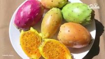 10 Cosas que no sabías sobre las tunas.| Cocina Delirante