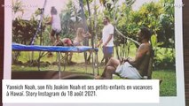 Yannick Noah avec sa première femme Cécilia : parenthèse heureuse à Hawaï
