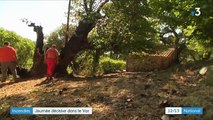 Incendie dans le Var : les conditions météorologiques s'améliorent