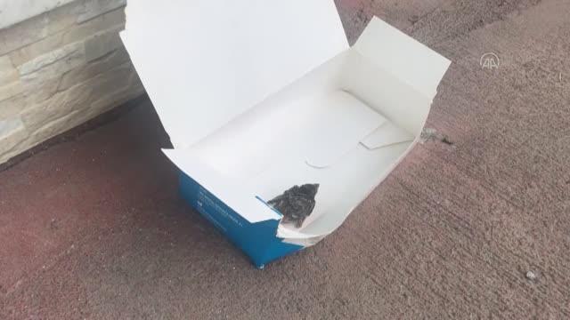 3. kattan düşen yavru saka kuşunu itfaiye ekipleri yuvasına bıraktı