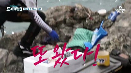 [다음이야기] 최후의 전쟁의 시작! ☆돌돔 : The Final Revenge☆