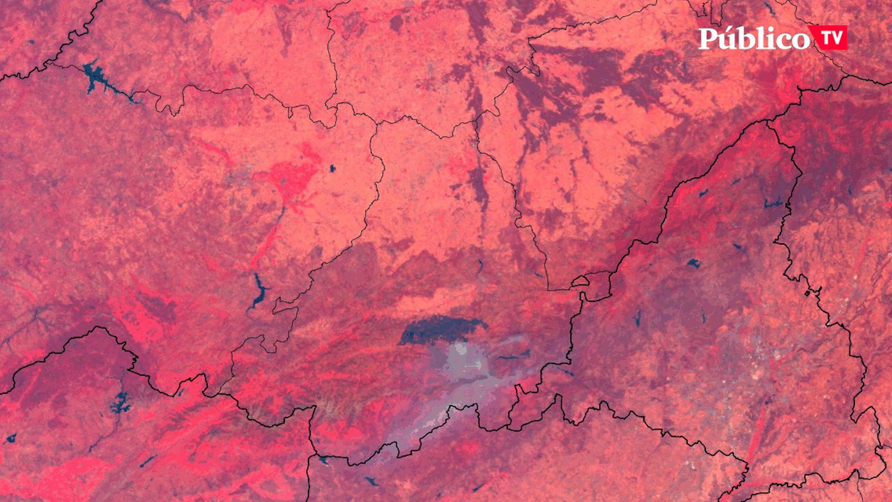 Incendios y la crisis climática: "Es humanamente imposible apagar un incendio a 40 grados"