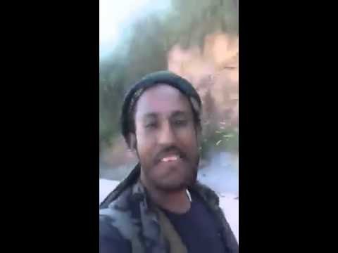 عناصر من المقاومة تدخل القصر الجمهوري في تعز