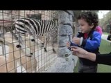 حديقة الإمارات للحيوانات: تجربة فريدة  بين أحضان الطبيعة