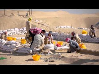 قصة شعار إكسبو 2020