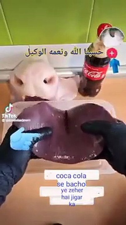 How coca cola danger for human bodies