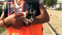 AFAD gönüllüsü enkazda bulduğu kediyi sahiplendi