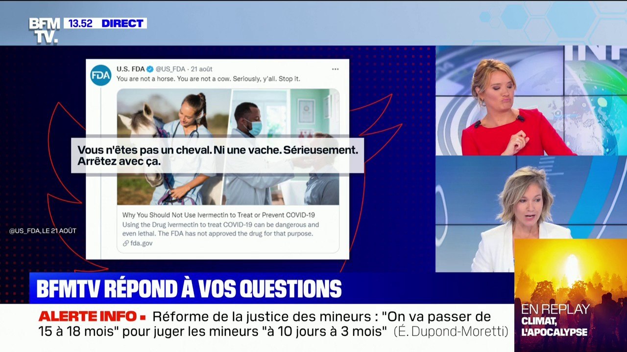 Qu'est-ce que l'ivermectine et pourquoi est-ce qu'on en parle ? BFMTV répond à vos questions