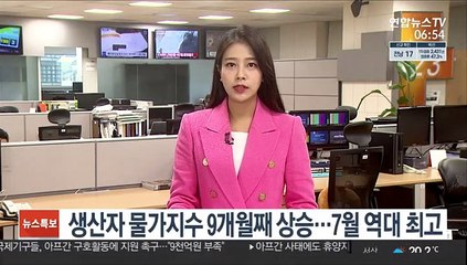 생산자 물가지수 9개월째 상승…7월 역대 최고