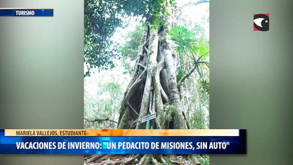 Vacaciones de invierno: Un pedacito de Misiones, sin auto